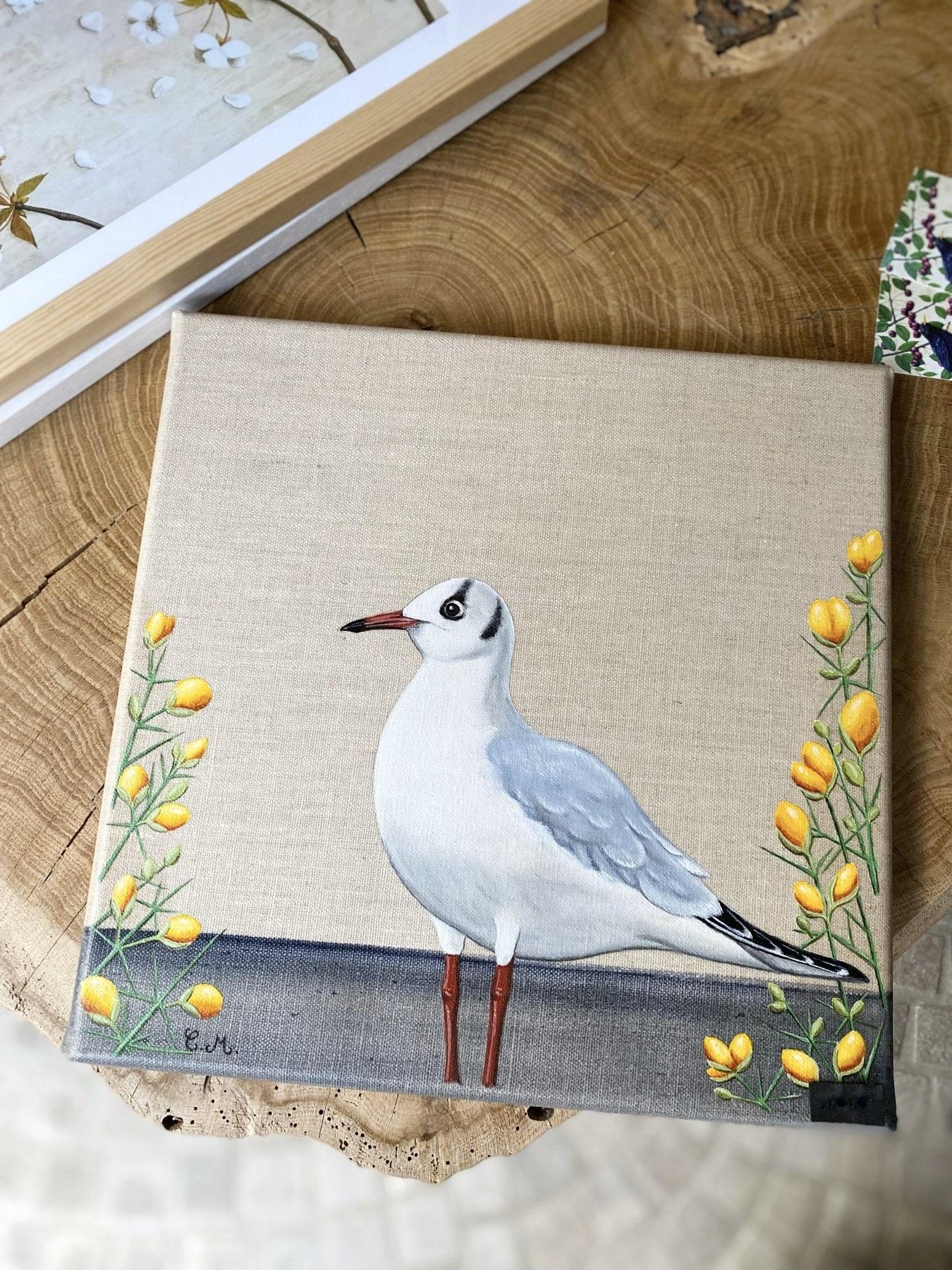 Mouette aux Ajoncs - photo 1